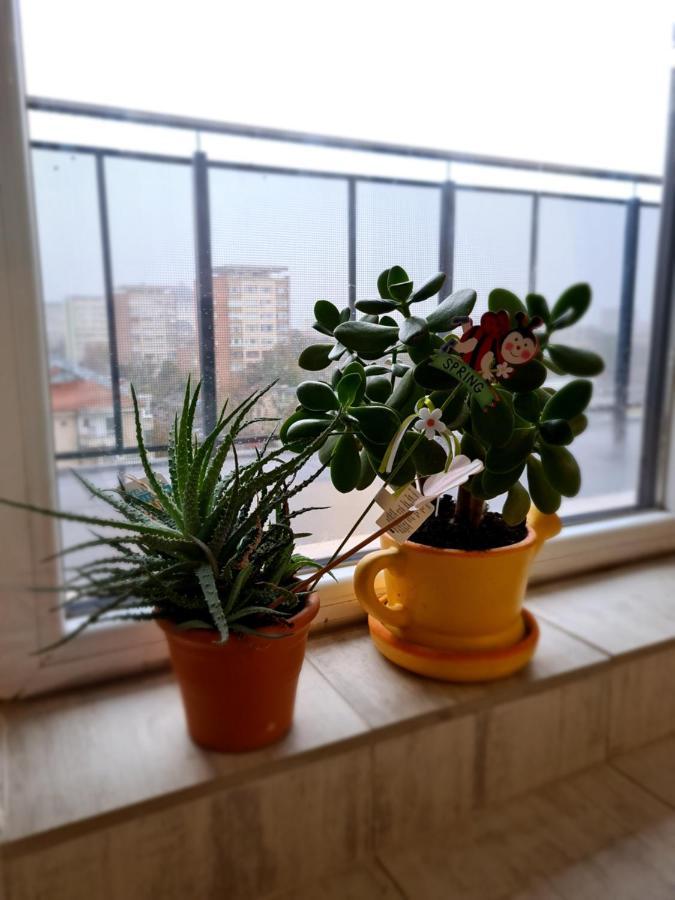 Cozy Apartment أراد المظهر الخارجي الصورة