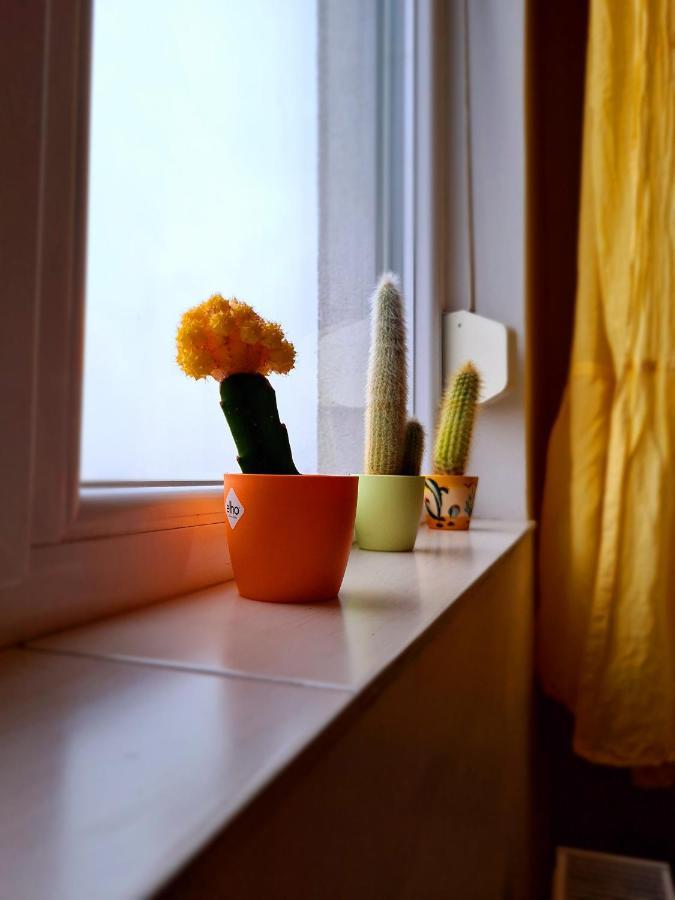 Cozy Apartment أراد المظهر الخارجي الصورة