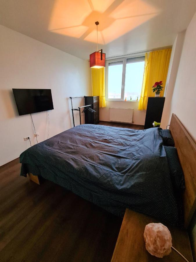 Cozy Apartment أراد المظهر الخارجي الصورة
